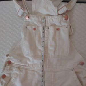 Denim Free People overalls